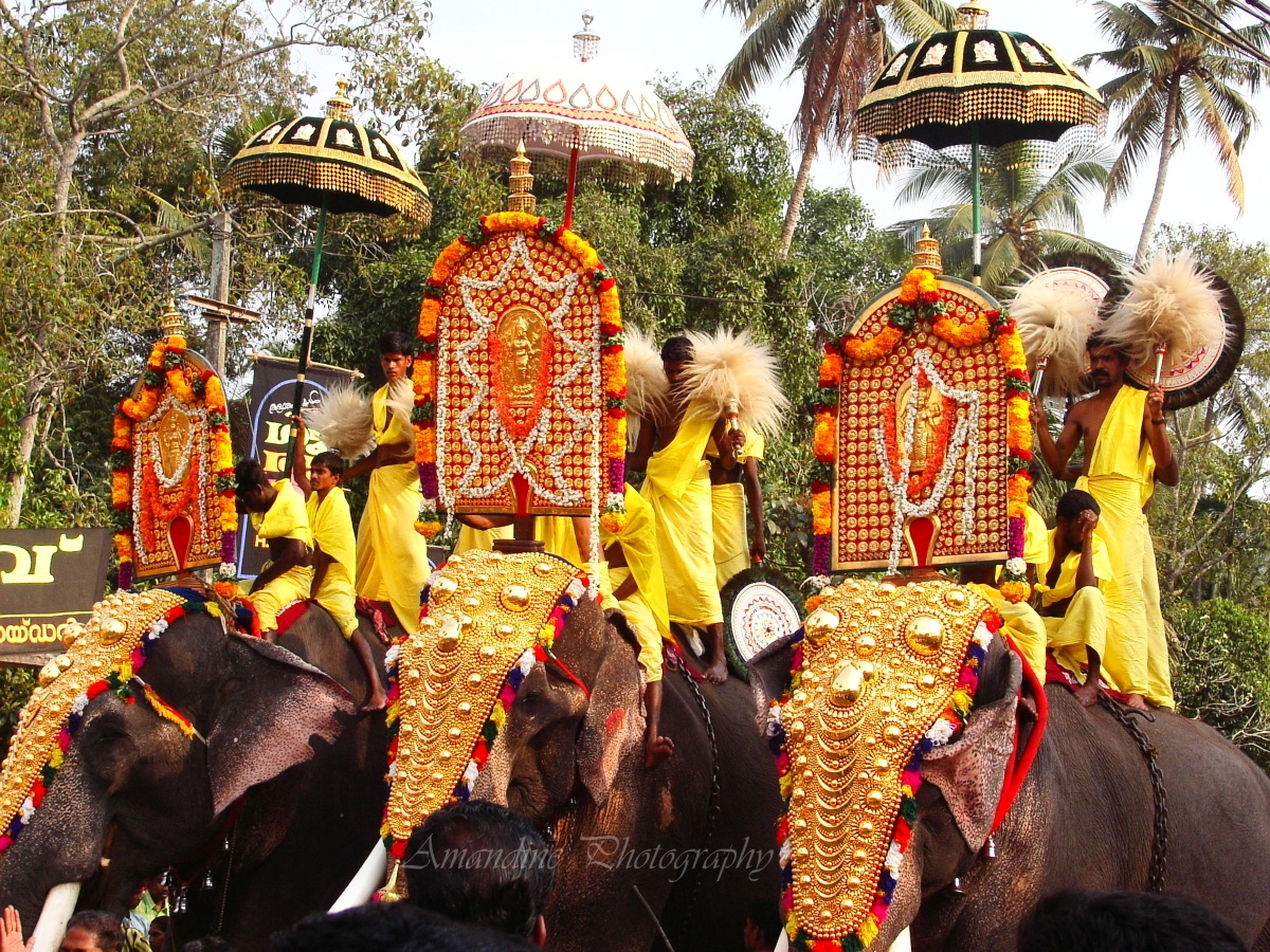retraite yoga itinérante au sud de l'Inde 18-28 octobre 2026 – Image 7